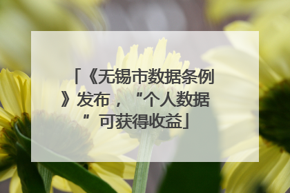 《无锡市数据条例》发布，“个人数据”可获得收益