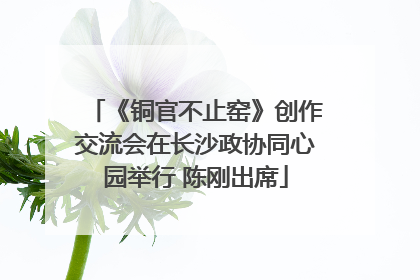 《铜官不止窑》创作交流会在长沙政协同心园举行 陈刚出席