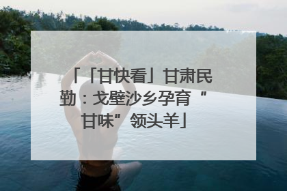 「甘快看」甘肃民勤：戈壁沙乡孕育“甘味”领头羊