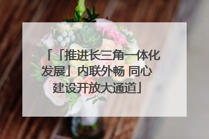「推进长三角一体化发展」内联外畅 同心建设开放大通道