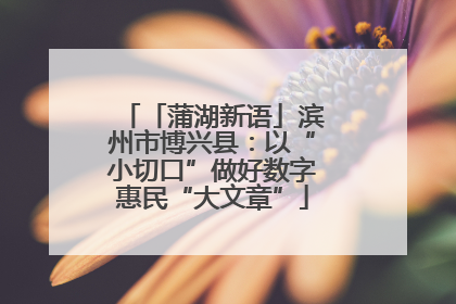 「蒲湖新语」滨州市博兴县：以“小切口”做好数字惠民“大文章”