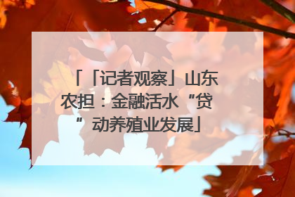 「记者观察」山东农担：金融活水“贷”动养殖业发展