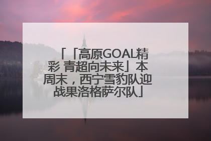 「高原GOAL精彩 青超向未来」本周末，西宁雪豹队迎战果洛格萨尔队