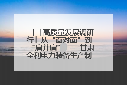「高质量发展调研行」从“面对面”到“肩并肩”——甘肃全利电力装备生产制造项目一线见闻