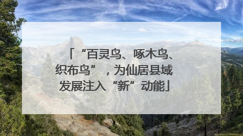 “百灵鸟、啄木鸟、织布鸟”，为仙居县域发展注入“新”动能