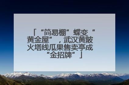 “简易棚”蝶变“黄金屋”，武汉黄陂火塔线瓜果售卖亭成“金招牌”