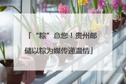 “粽”意您！贵州邮储以粽为媒传递温情