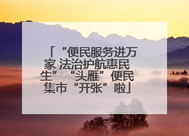 “便民服务进万家 法治护航惠民生”“头雁”便民集市“开张”啦