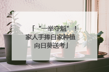 “一举夺魁”！家人手捧自家种植向日葵送考
