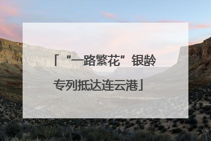 “一路繁花”银龄专列抵达连云港