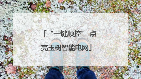 “一键顺控” 点亮玉树智能电网