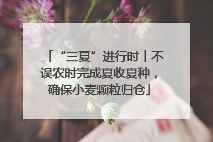 “三夏”进行时丨不误农时完成夏收夏种，确保小麦颗粒归仓