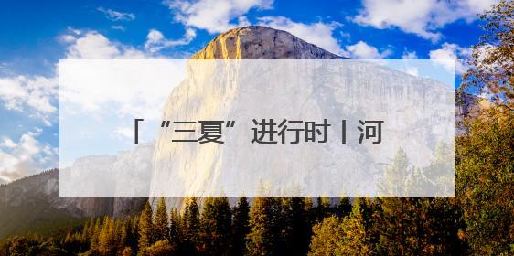 “三夏”进行时丨河北小麦收获近七成