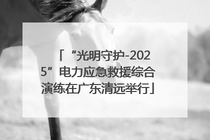 “光明守护-2025”电力应急救援综合演练在广东清远举行