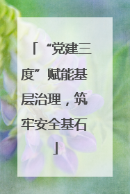 “党建三度”赋能基层治理，筑牢安全基石