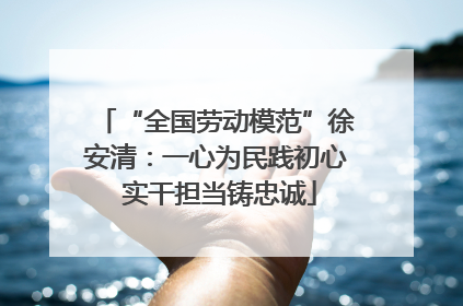 “全国劳动模范”徐安清：一心为民践初心 实干担当铸忠诚