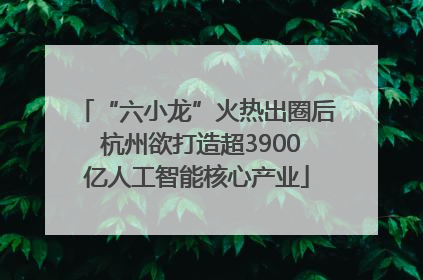 “六小龙”火热出圈后 杭州欲打造超3900亿人工智能核心产业