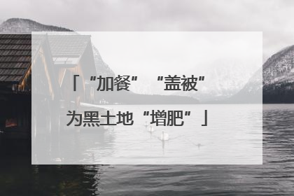 “加餐”“盖被” 为黑土地“增肥”