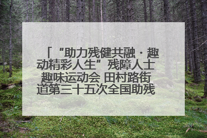 “助力残健共融・趣动精彩人生”残障人士趣味运动会 田村路街道第三十五次全国助残日主题活动圆满举办