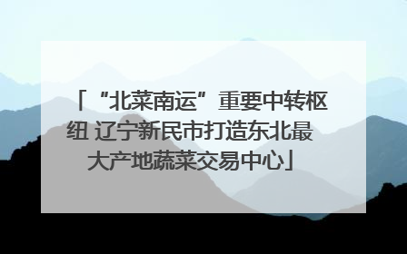 “北菜南运”重要中转枢纽 辽宁新民市打造东北最大产地蔬菜交易中心