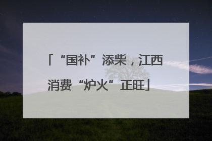 “国补”添柴，江西消费“炉火”正旺