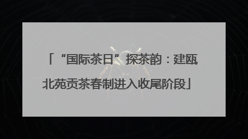 “国际茶日”探茶韵：建瓯北苑贡茶春制进入收尾阶段