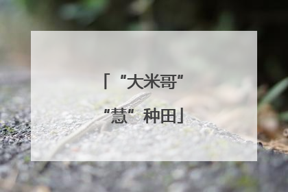 “大米哥”“慧”种田