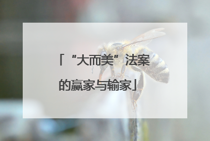 “大而美”法案的赢家与输家