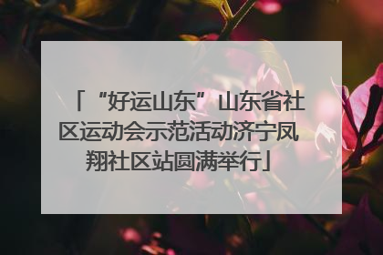 “好运山东”山东省社区运动会示范活动济宁凤翔社区站圆满举行