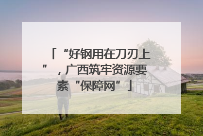 “好钢用在刀刃上”，广西筑牢资源要素“保障网”