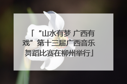 “山水有梦 广西有戏”第十三届广西音乐舞蹈比赛在柳州举行