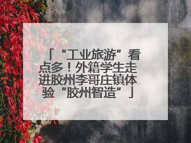 “工业旅游”看点多！外籍学生走进胶州李哥庄镇体验“胶州智造”