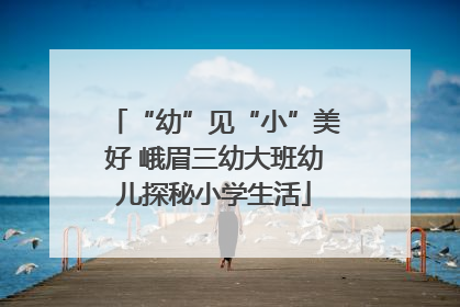 “幼”见“小”美好 峨眉三幼大班幼儿探秘小学生活