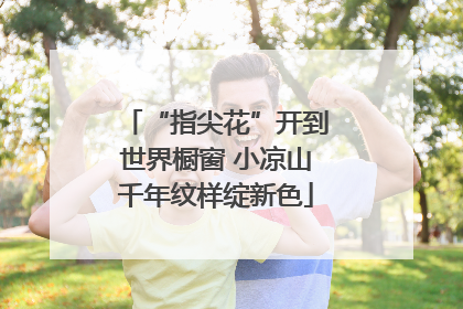 “指尖花”开到世界橱窗 小凉山千年纹样绽新色