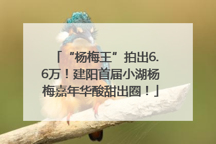 “杨梅王”拍出6.6万！建阳首届小湖杨梅嘉年华酸甜出圈！