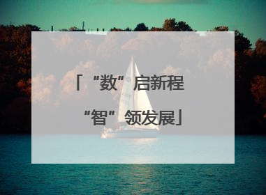 “数”启新程 “智”领发展