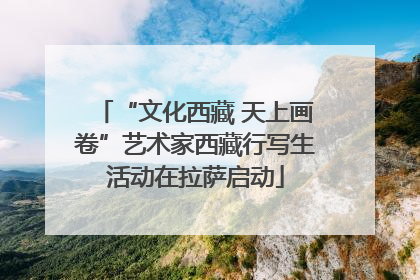 “文化西藏 天上画卷”艺术家西藏行写生活动在拉萨启动
