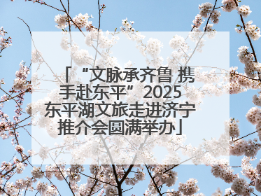“文脉承齐鲁 携手赴东平”2025东平湖文旅走进济宁推介会圆满举办