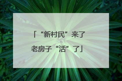 “新村民”来了 老房子“活”了