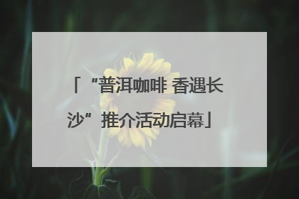 “普洱咖啡 香遇长沙”推介活动启幕