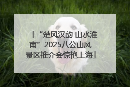 “楚风汉韵 山水淮南”2025八公山风景区推介会惊艳上海