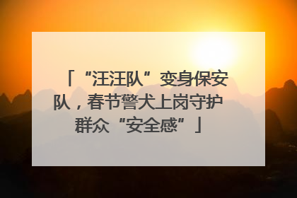 “汪汪队”变身保安队，春节警犬上岗守护群众“安全感”