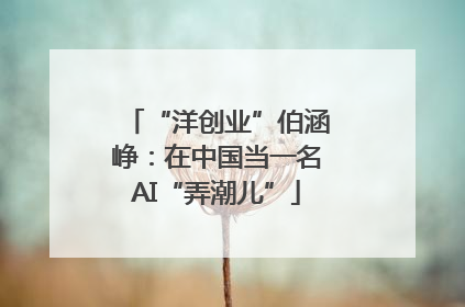 “洋创业”伯涵峥：在中国当一名AI“弄潮儿”