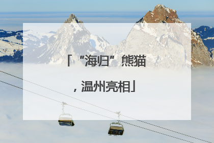 “海归”熊猫，温州亮相