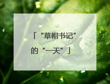 “草帽书记”的“一天”