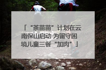“茶苗苗”计划在云南保山启动 为留守困境儿童三餐“加肉”
