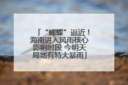 “蝴蝶”逼近！海南进入风雨核心影响时段 今明天局地有特大暴雨