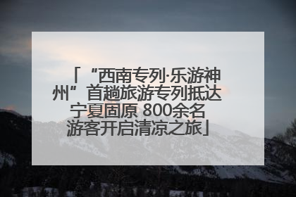 “西南专列·乐游神州”首趟旅游专列抵达宁夏固原 800余名游客开启清凉之旅