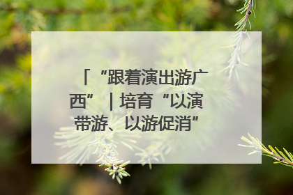 “跟着演出游广西”｜培育“以演带游、以游促消”文旅消费新生态