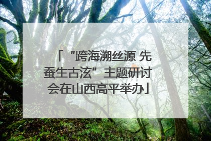 “跨海溯丝源 先蚕生古泫”主题研讨会在山西高平举办